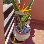 Atico Duplex De Lujo- Costa- Costa Del Sol * Casares
